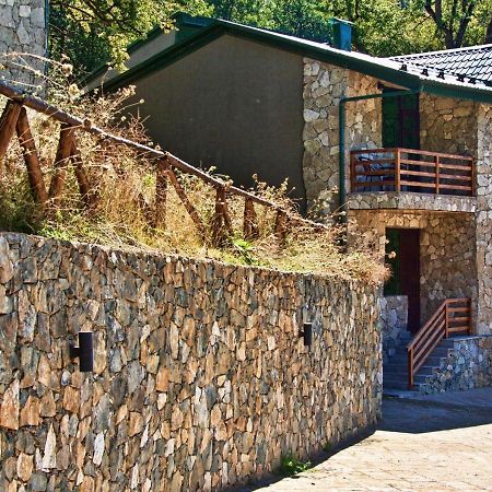 Dilijan Villa 12 エクステリア 写真